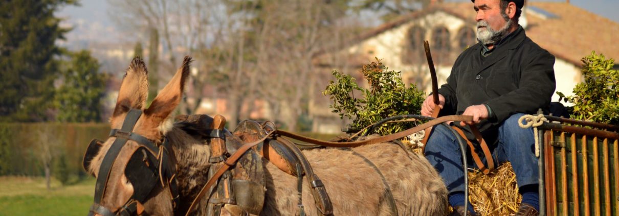 barbari e somari